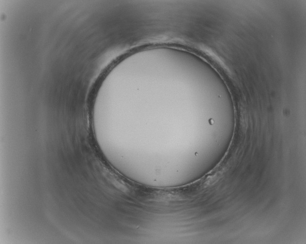 X0000074341270200609152113