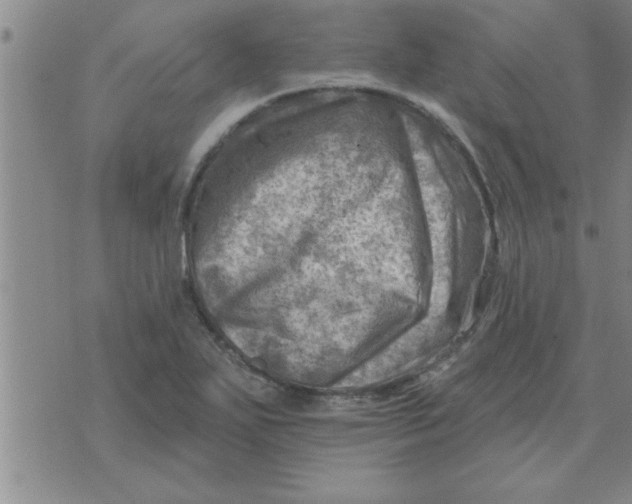 X0000074341271200609152113