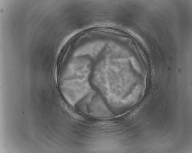 X0000074341272200609152113