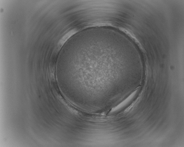 X0000074341273200609152113