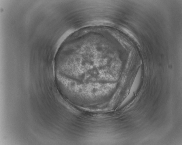 X0000074341275200609152113