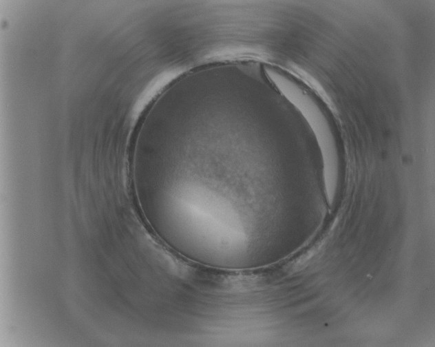 X0000074341277200609152113