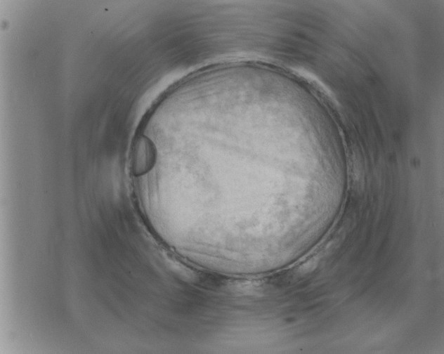 X0000074341278200609152113