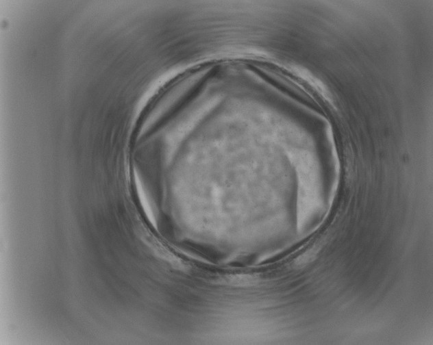 X0000074341280200609152113