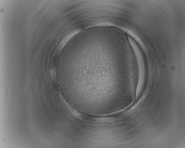 X0000074341281200609152113