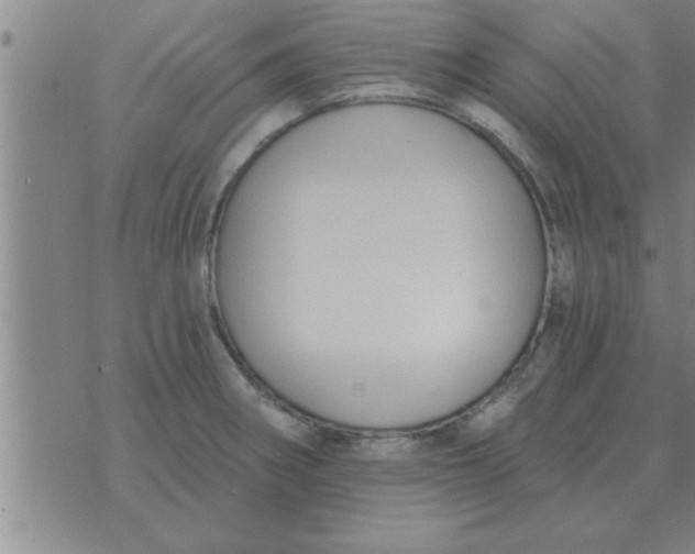 X0000074341282200609152113