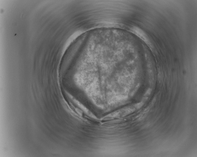 X0000074341283200609152113