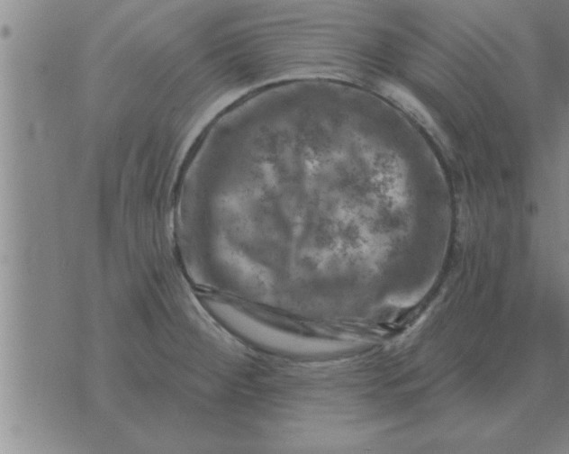 X0000074341284200609152113