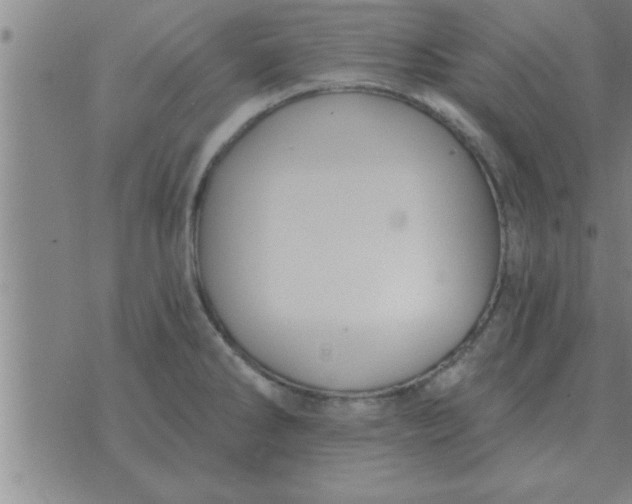 X0000074341286200609152113