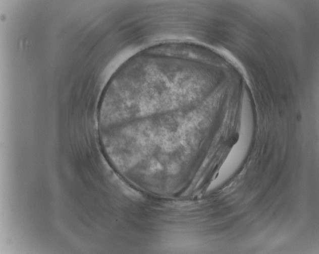 X0000074341287200609152113