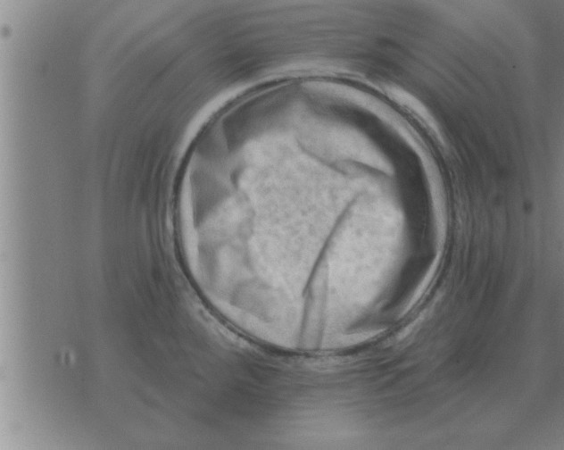 X0000074341288200609152113