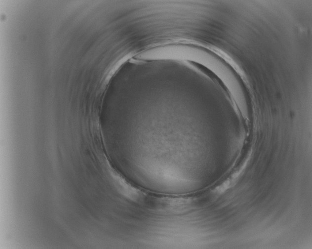 X0000074341289200609152113