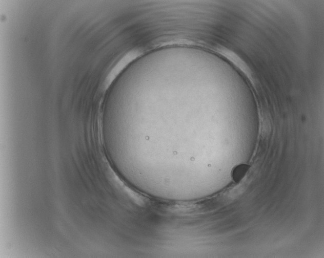 X0000074341290200609152113