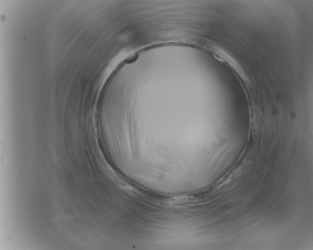 X0000074341291200609152112