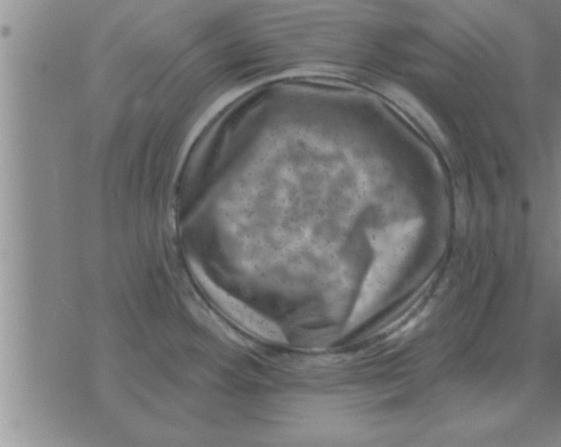 X0000074341292200609152112