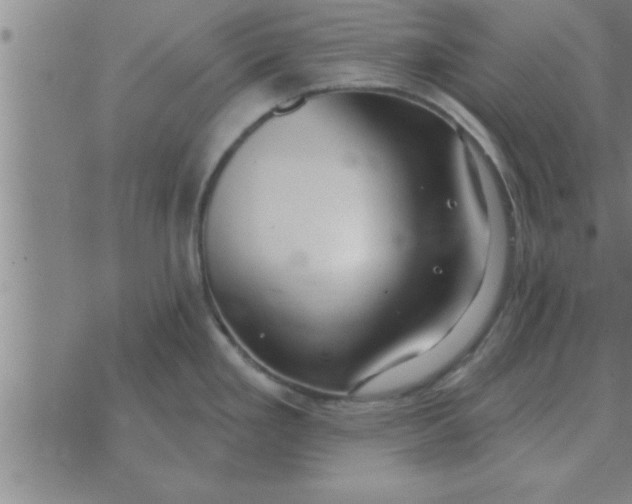 X0000074341293200609152112