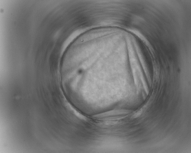 X0000074341294200609152112