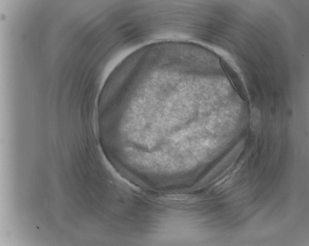 X0000074341295200609152112