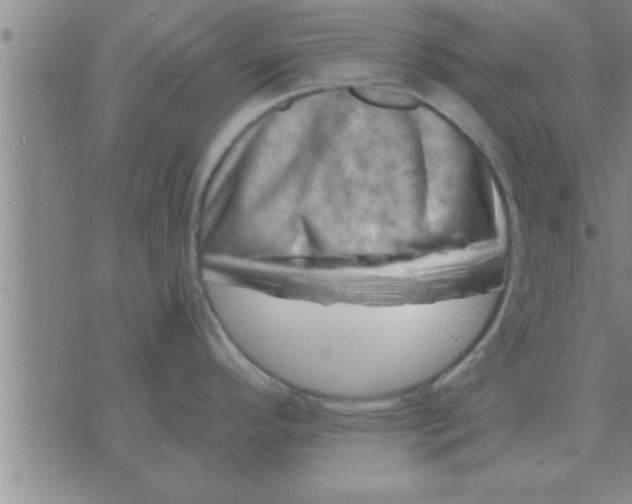 X0000074341296200609152112