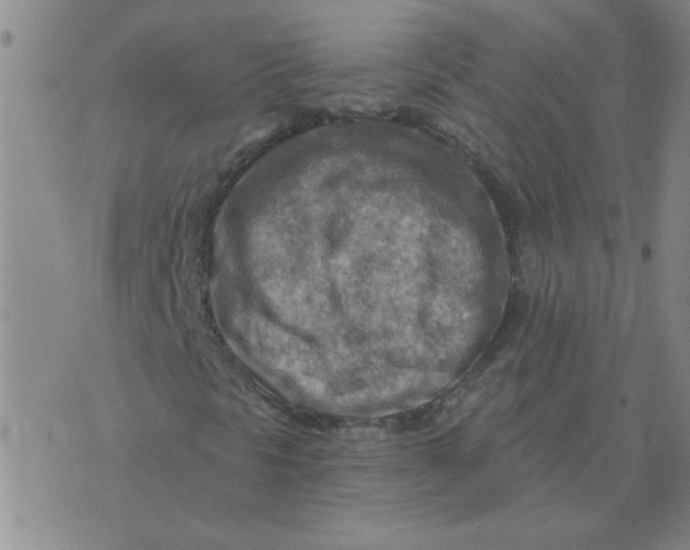 X0000074341297200609152112