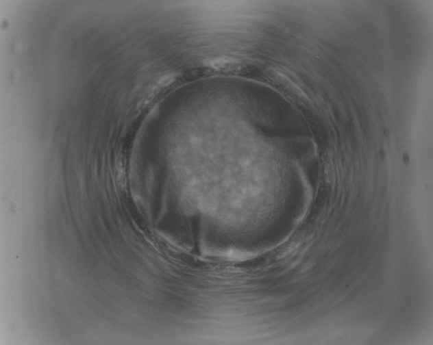 X0000074341298200609152112