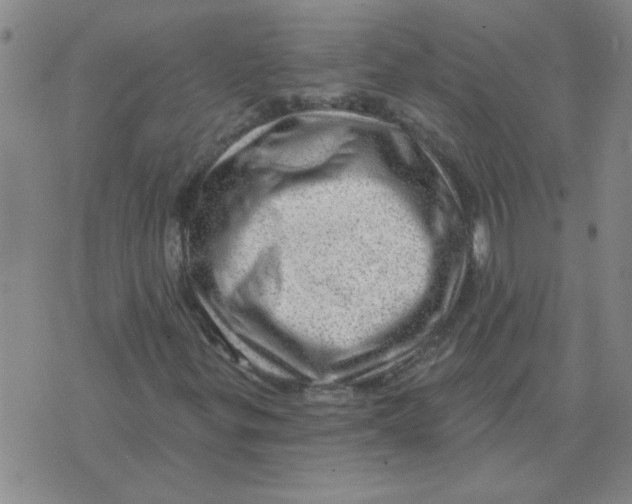 X0000074341299200609152112