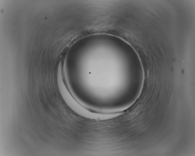 X0000074341300200609152112