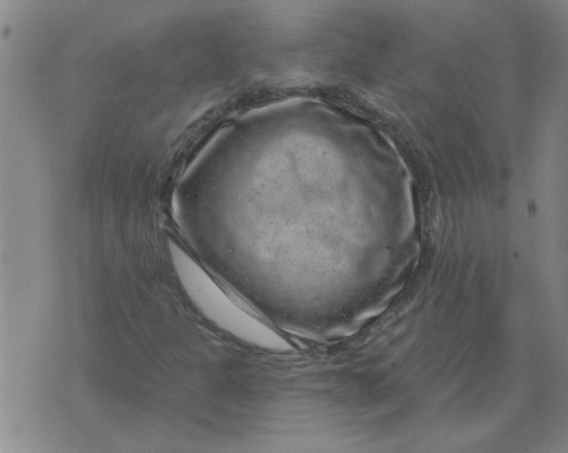 X0000074341301200609152112