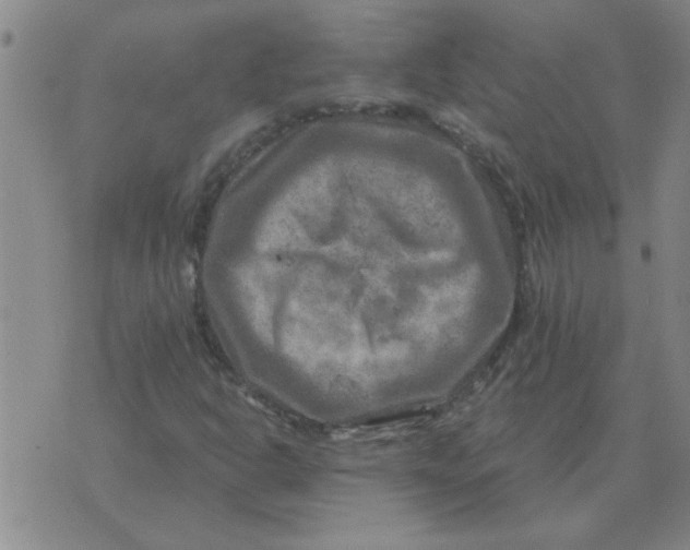 X0000074341302200609152112