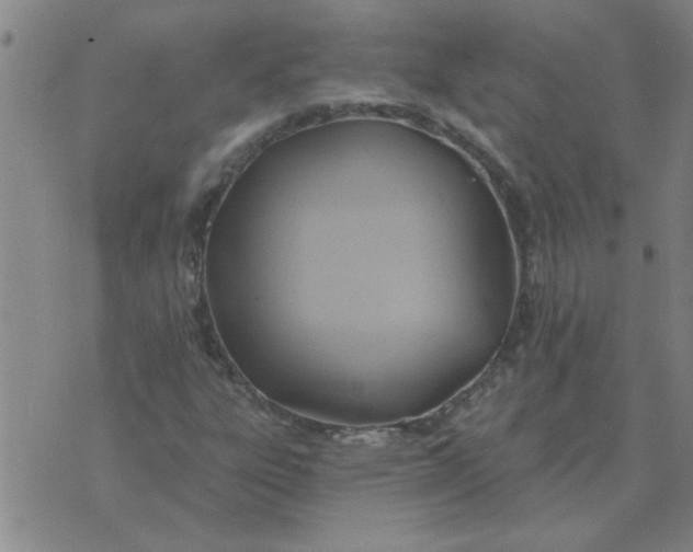 X0000074341303200609152112