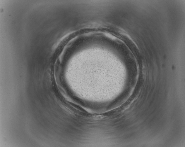 X0000074341304200609152112