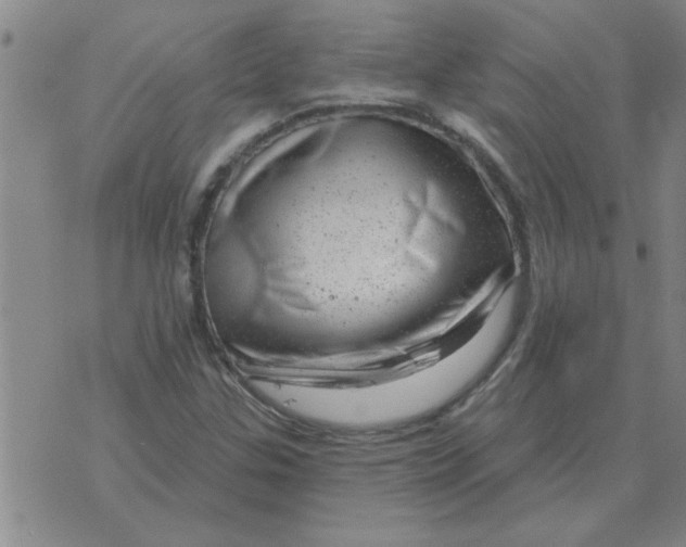 X0000074341307200609152112