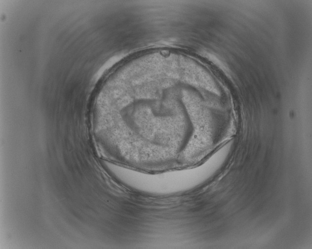 X0000074341308200609152112