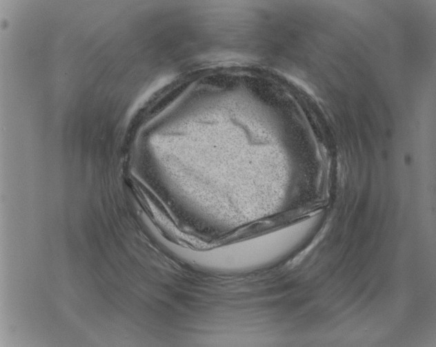 X0000074341309200609152112