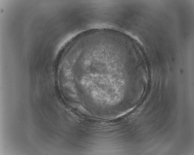 X0000074341311200609152112