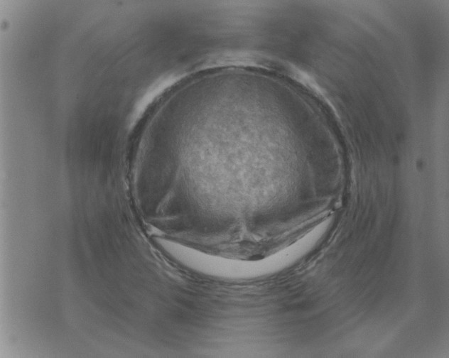 X0000074341312200609152112