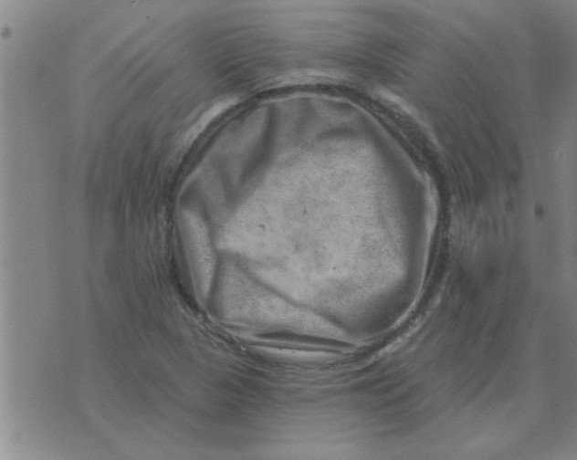 X0000074341313200609152112