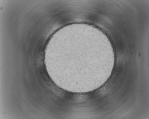 X0000074341314200609152112