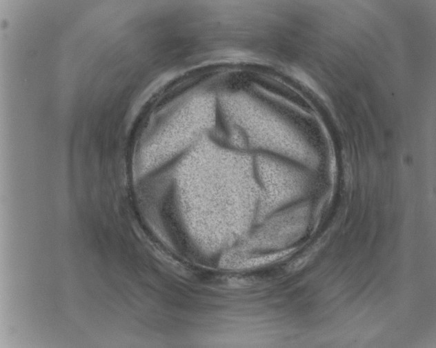 X0000074341318200609152112