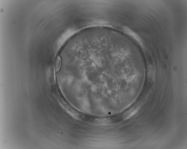 X0000074341320200609152112