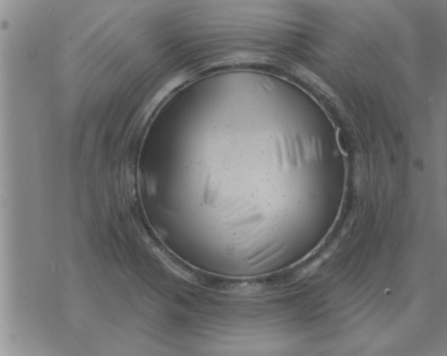 X0000074341321200609152112