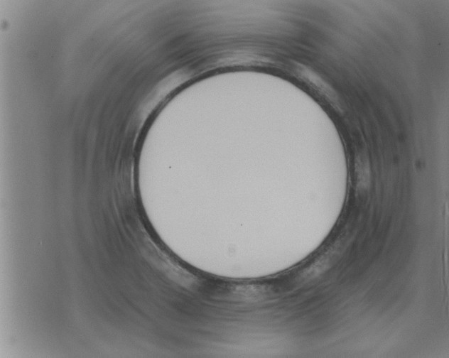 X0000074341322200609152112