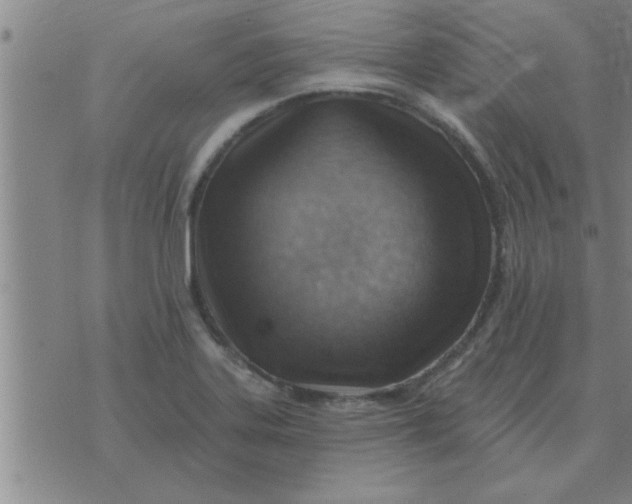 X0000074341323200609152112