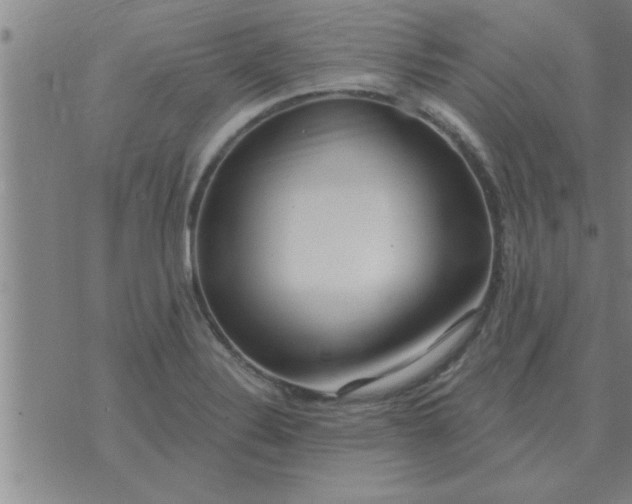 X0000074341324200609152112