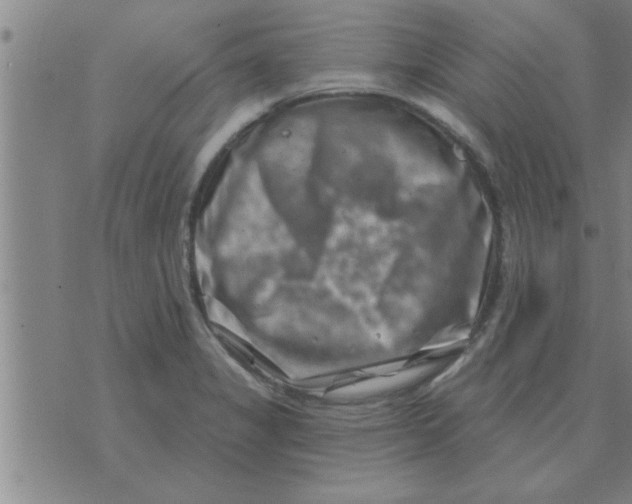 X0000074341325200609152112