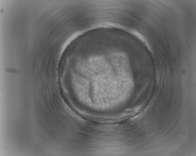 X0000074341326200609152112