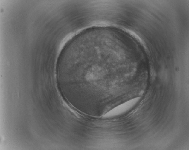 X0000074341327200609152112