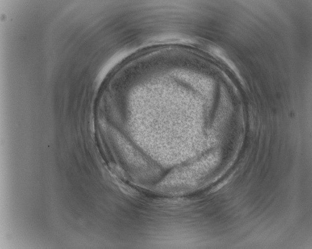 X0000074341328200609152112