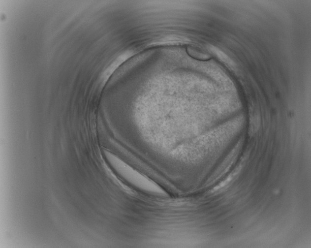 X0000074341329200609152112