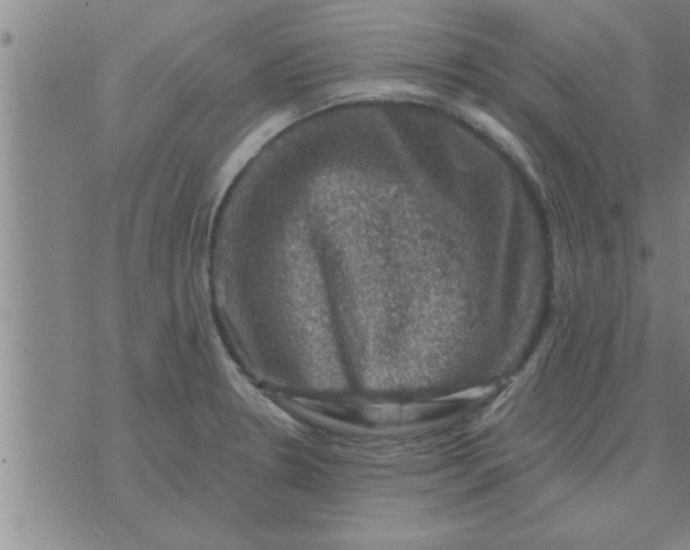 X0000074341330200609152112